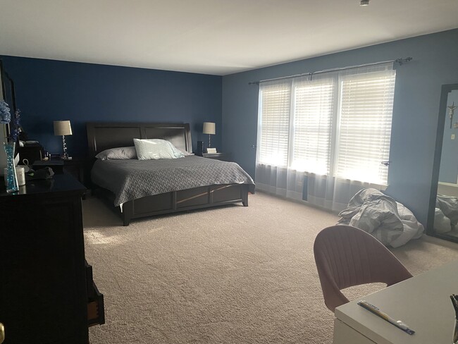 1915 Chestnut Grove Dr, Plainfield, IL 60586 - photo 4