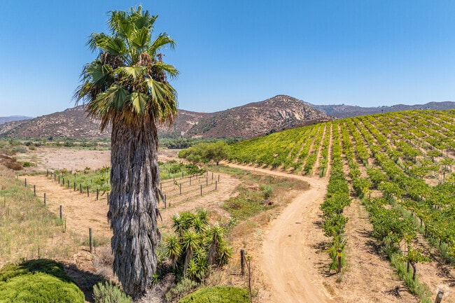 Kit Carson borders the San Pasqual Valley and is home to many vineyards.