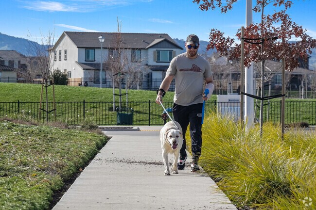 Companionable stroll with dog in Lone Tree Valley's tranquility.
