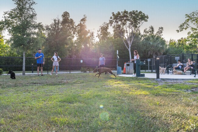 Tree Island Dog Park in Tamiami provides a safe space for pets to run around off-leash.