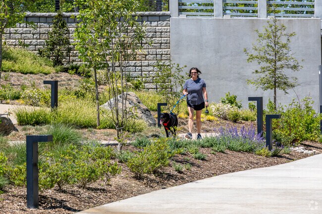The Stream Park in Ballantyne has a paved trail that runs along the stream.