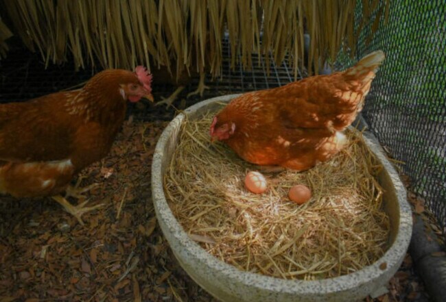 443 Clove Rd unit ID1366357P, Monroe, NY 10950 - photo 6