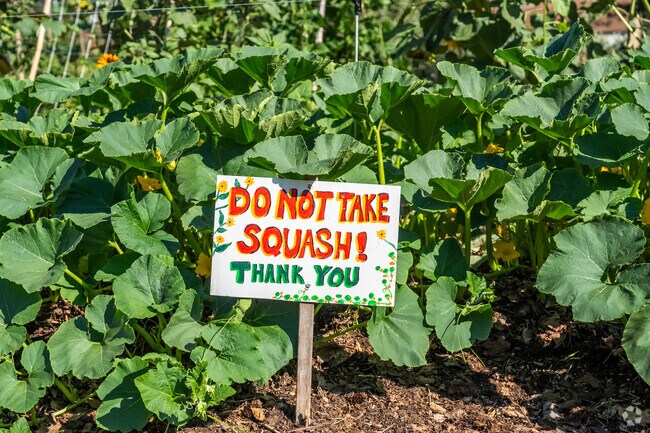 An informative sign warns folks to not steal in a blooming community garden in Riverview.