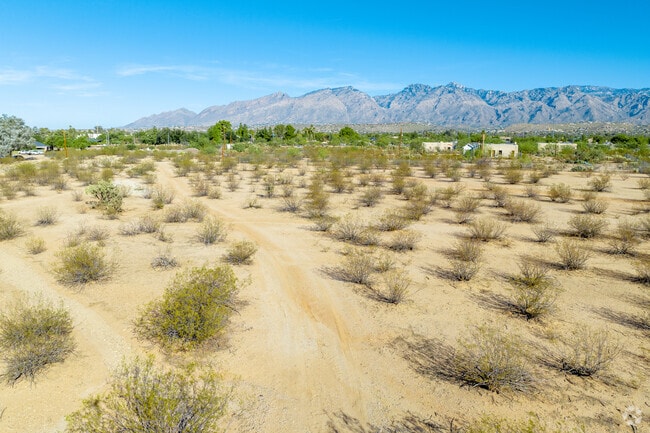 Morris K. Udall Park features a natural area for hiking and exploring close to civilization.