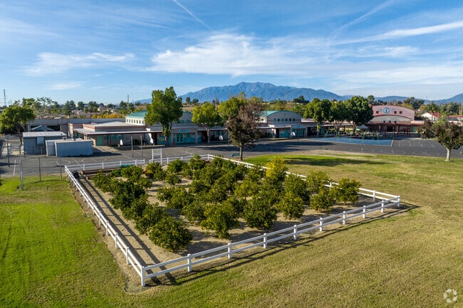 Students enjoy the orange groves at Ernest Garcia Elementary School.