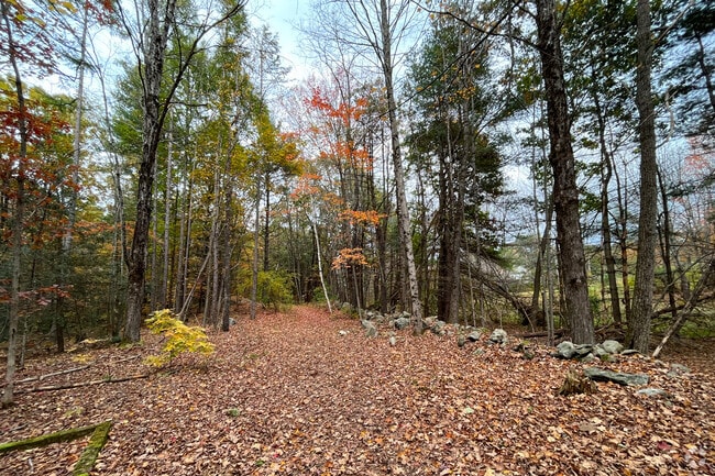 Enjoy the outdoors while in the Hollis neighborhood.