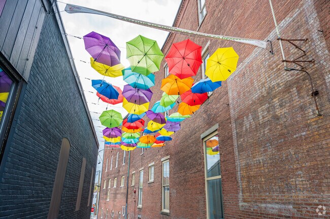 You never know what you'll find around every corner in Westville.