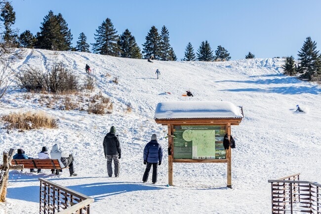 Springhill is full of different areas to go sledding.