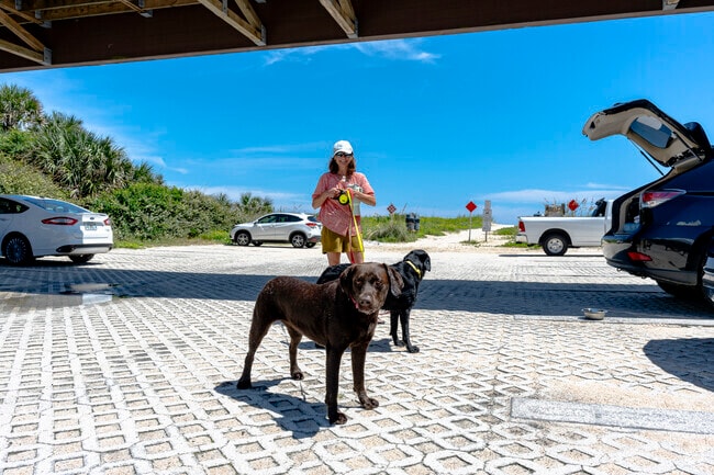 Many Palm Coast beaches are dog friendly.