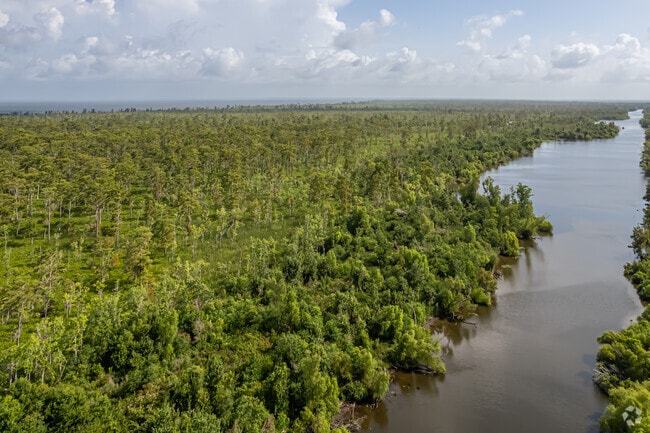 The Maurepas Swamp Wildlife Management Area is just minutes away from Reserve.