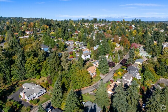 Northlake Terrace streets are lined with homes and tall trees.