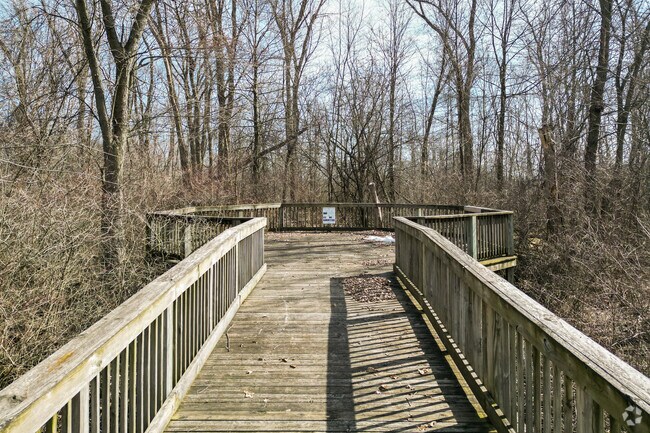 Buttonbush Wetlands Preserve has a beautiful boardwalk that overlooks the forest and wetlands.