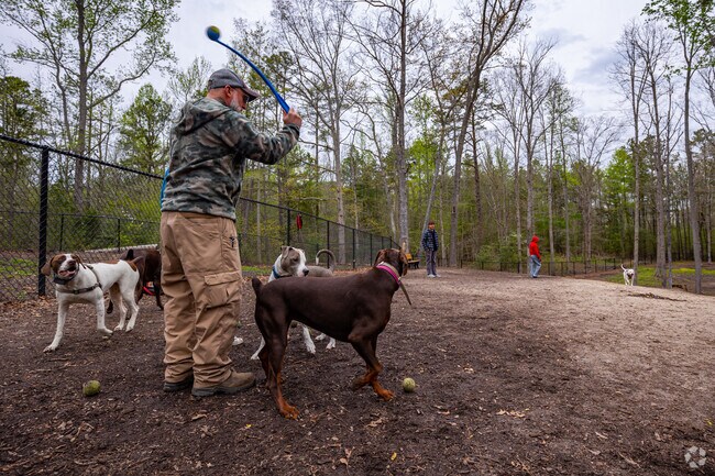Goyne Park in Chester has the best dog park in South Richmond.