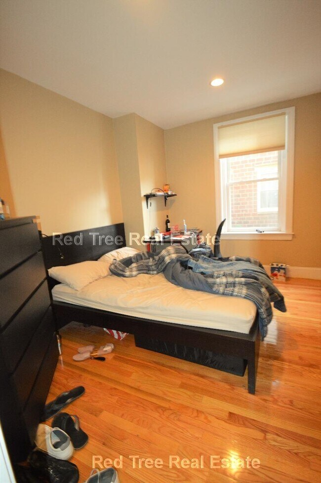 328 Saint Paul St unit 2, Brookline, MA 02446 - photo 7