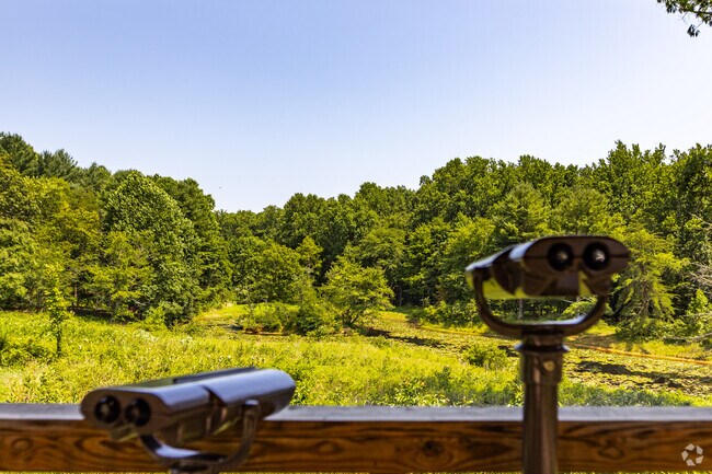 The viewing deck at Maydale Conservation Park is the best place for a great view of the lake.
