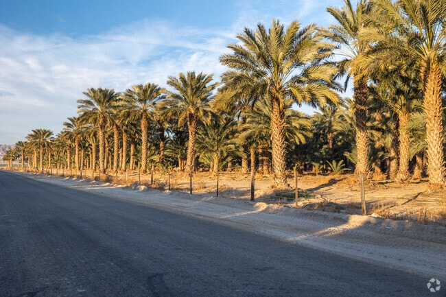 Mecca is one of the largest producers of dates, with several farms in the area.