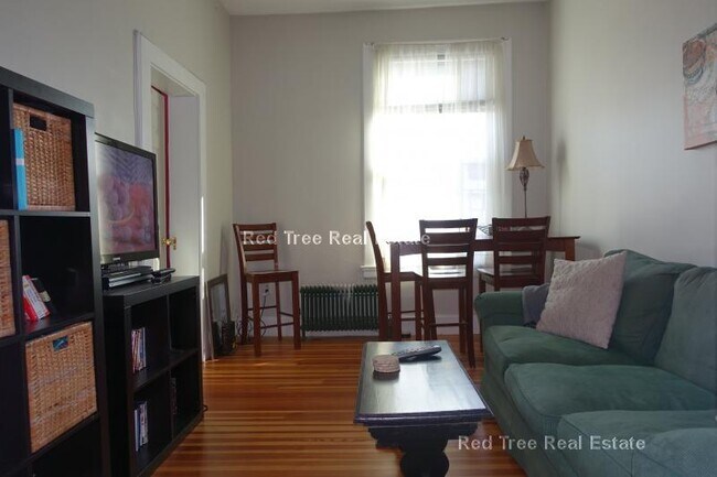 554 E 4th St unit 3, Boston, MA 02127 - photo 5