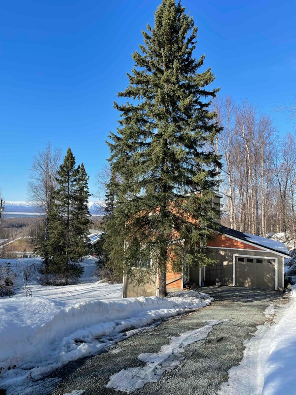 18414 Amonson Rd, Anchorage, AK 99567