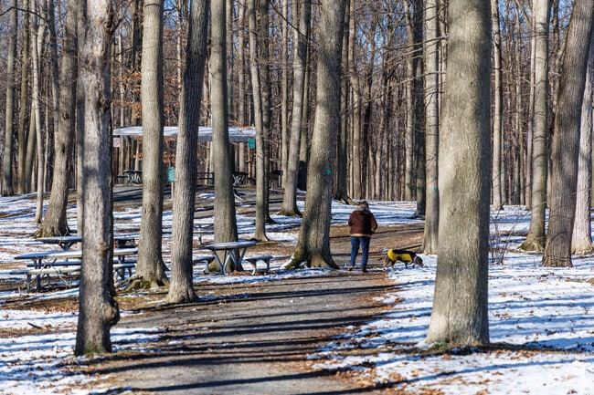Dogs are welcome in Camillus park near Fairmount, as long as they are leashed.