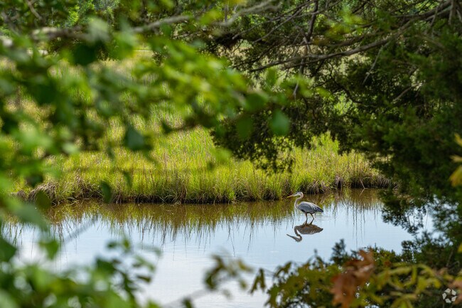 Immerse yourself in nature at the Prime Hook National Wildlife Refuge, just a quick drive from Ellendale.