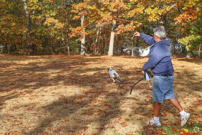 Szetela Park is a great place to throw the stick around in Sandy Hill.