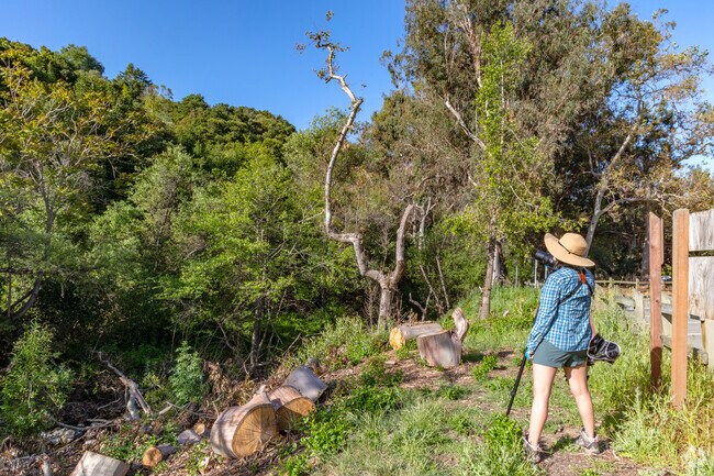 The 720-acre Alum Rock Park is the oldest municipal park in California.