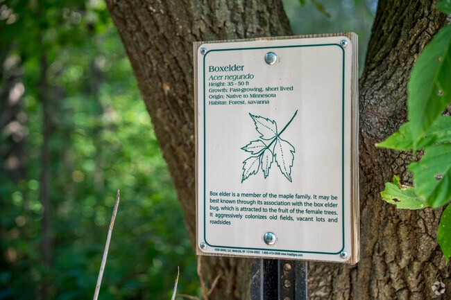 Informational markers in Bailey School Forest Park educate people about botany.
