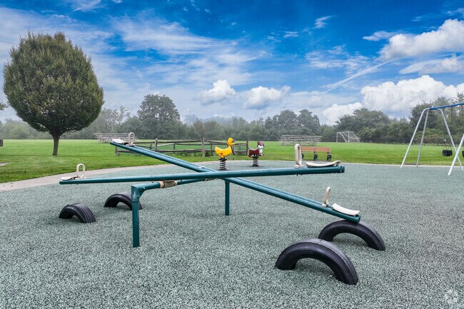 Your kids will love going to Town Park to run around and play in.