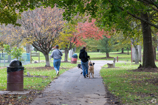 People bring their dogs to South Williamsport Community Park.