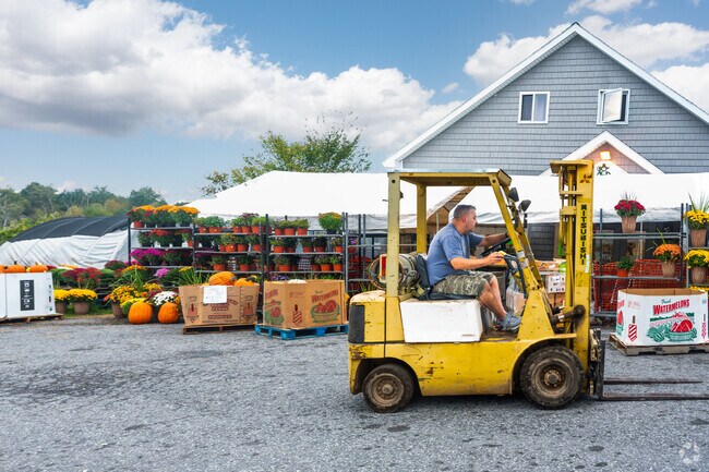 Local stores in Jackson provide fresh produce and everyday essentials.