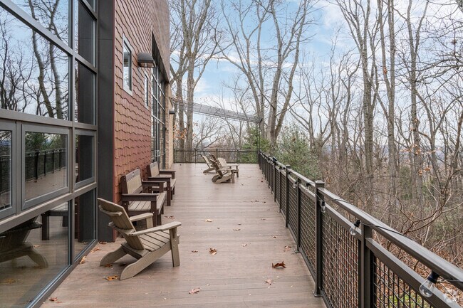 Visitors to Jenkins Arboretum can view the entire area from the elevated observation deck.