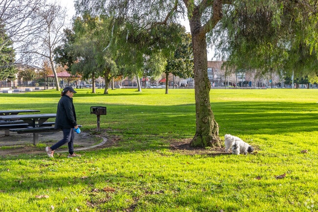 Walk with your furry friends at Cannery Park in the Burbank neighborhood.