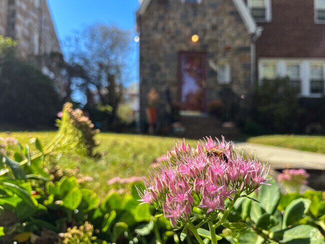 Herring Run Park has ample wildflower gardens, perfect for the honeybees that can be found.