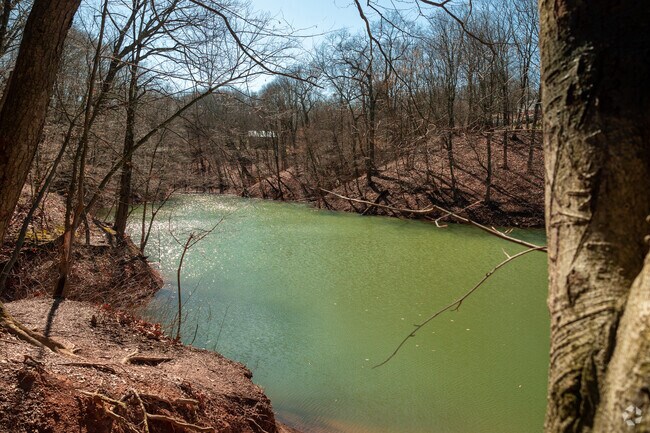 Nature lovers in Liberty love the Dead Man's Hollow Conservation Area.