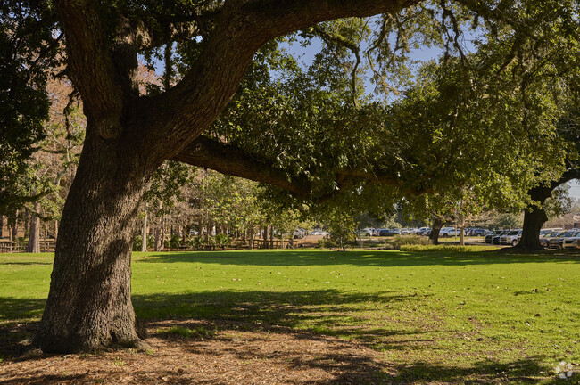 University Laboratory School in Baton Rouge enjoys a verdant campus with mature oak trees.