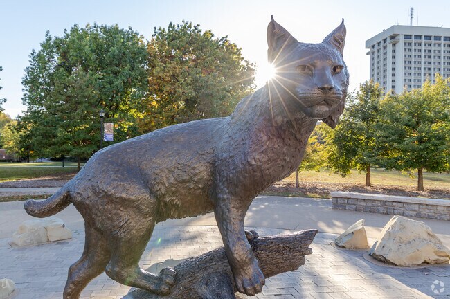 The University of Kentucky near Landsdown-Shadeland East is home to the Wildcats.