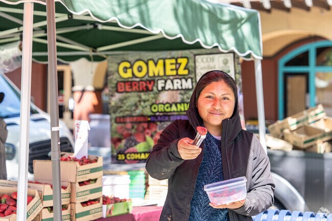 The Concord Farmer's Market happes twice a week in Todos Santos Plaza.