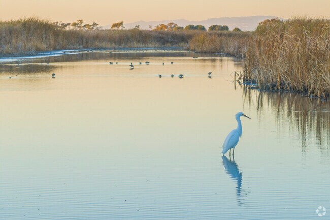 Ardenwood is full of natural beauty and sits next to major wildlife preserves.