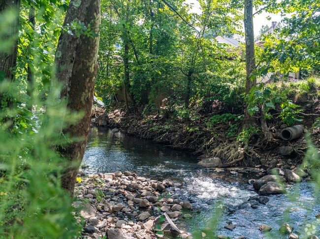 Pascack Brook winds by Rotary Park.
