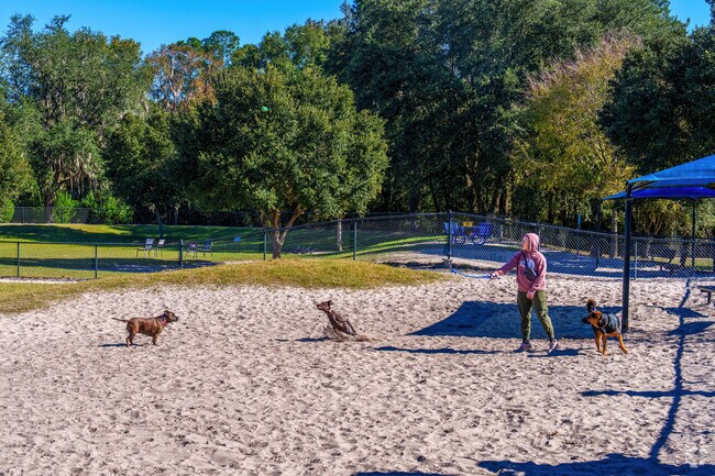 A large dog park at Possum Creek Park is convenient for local pet owners.