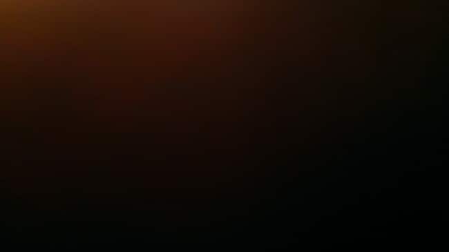 6 Wainwright St unit 3, Dorchester Center, MA 02124 - photo 2