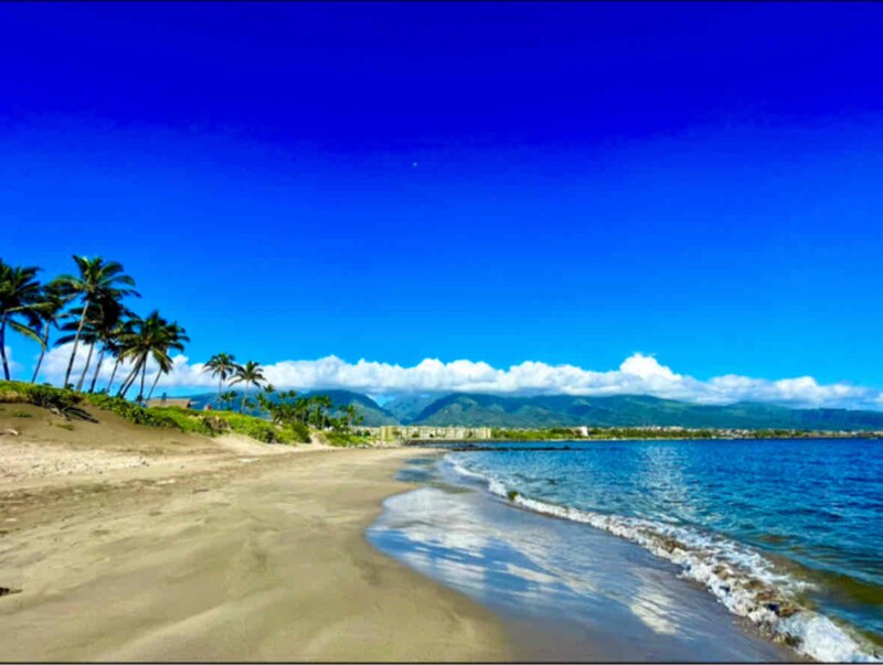 Harbor Lights unit B309, Kahului, HI 96732 - photo 1