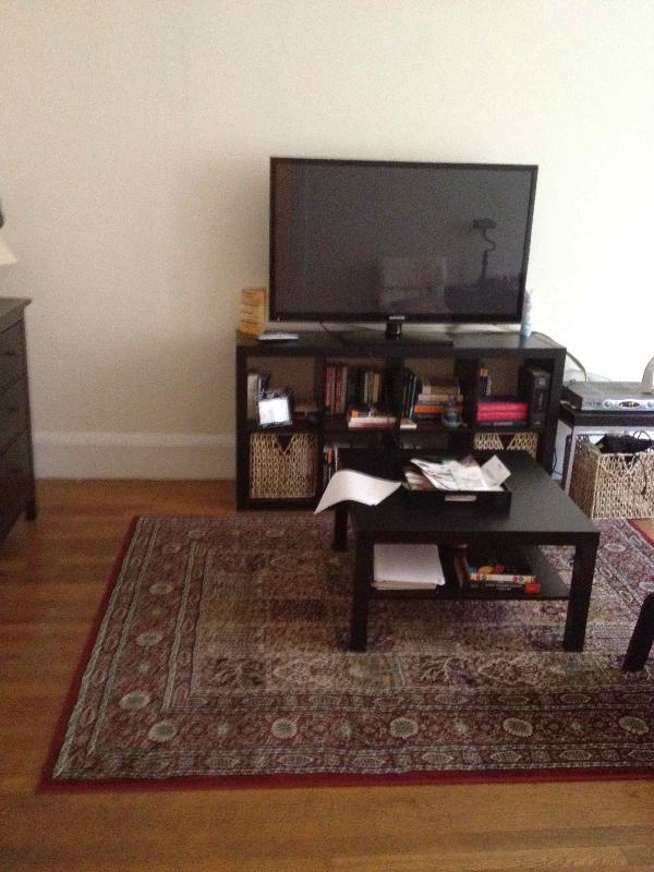 15 Euston St unit 4, Brookline, MA 02446 - photo 1