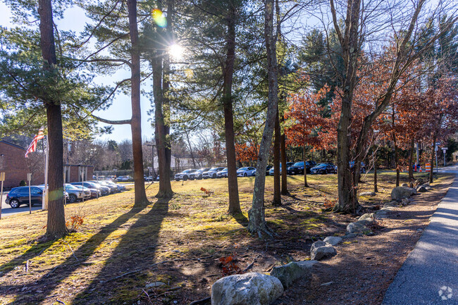 Early morning sunlight shines through at the J. Warren Killam Elementary School in Reading, MA.