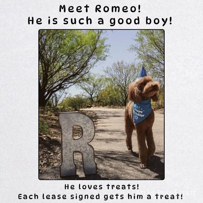 2213 Warm Walnut Dr, Las Vegas, NV 89134 - photo 2