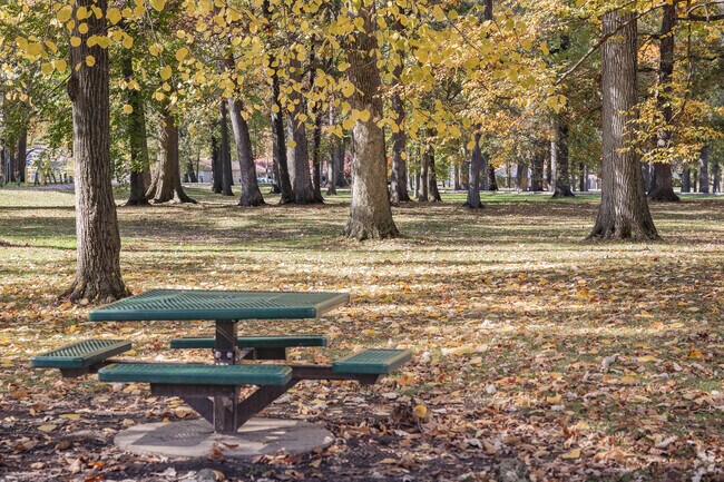 McMillen Park in Fort Wayne has beautiful tree shaded spaces to relax and enjoy.