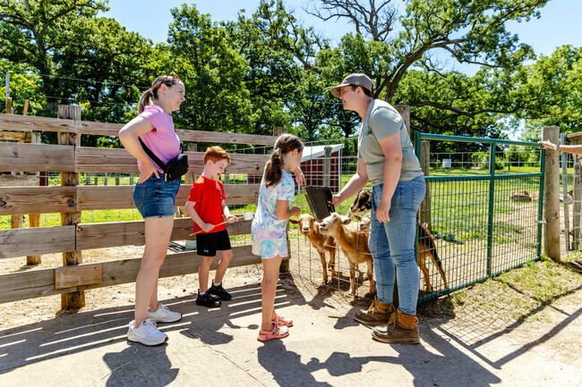 Children feed friendly goats at Primrose Farm under the watchful eyes of adults.