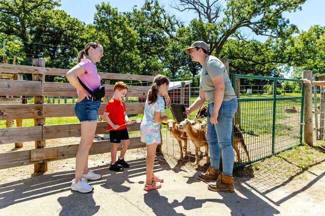 Children feed friendly goats at Primrose Farm under the watchful eyes of adults.
