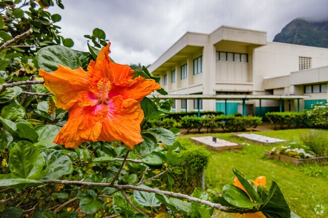 A colorful flower blooms at Ahuimanu Elementary School in Kaneohe.