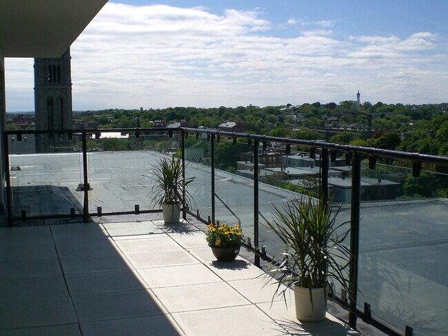 1575 Tremont St unit 810, Boston, MA 02120 - photo 6